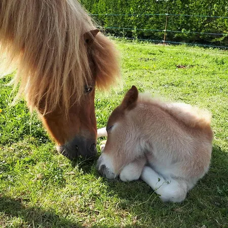 3 Places- Mont-saint-michel La Taniere Le Cezembre Apartamento