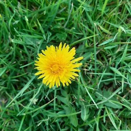 3 Places- Mont-saint-michel La Taniere Le Cezembre Apartamento