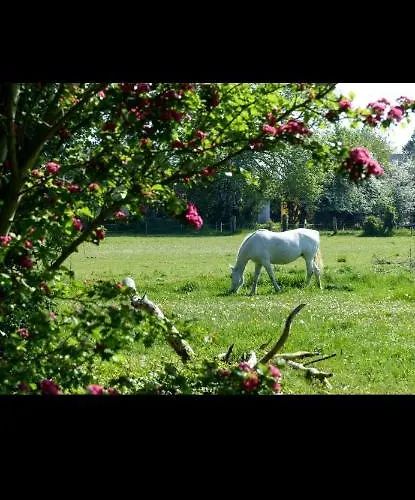 Le Cezembre La Taniere Appartement