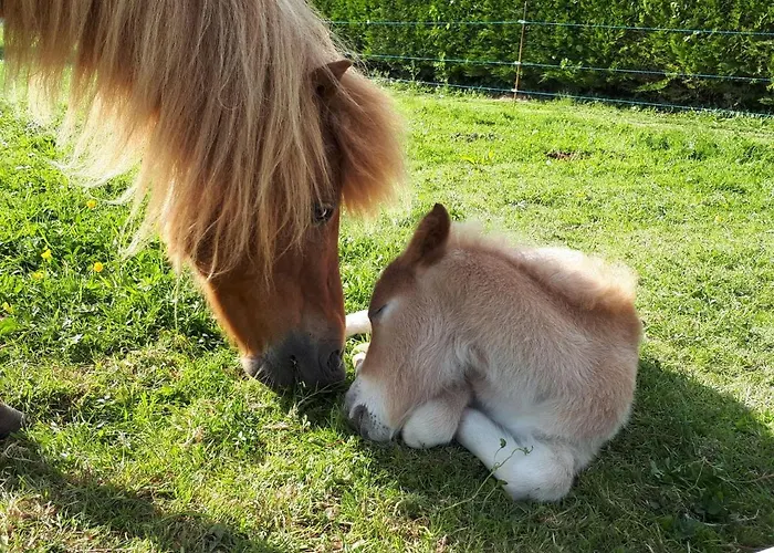 Le Cezembre La Taniere Appartement